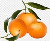 Мандарин, мандарин, апельсин, апельсин, натуральные продукты, еда,  фотография png | PNGWing